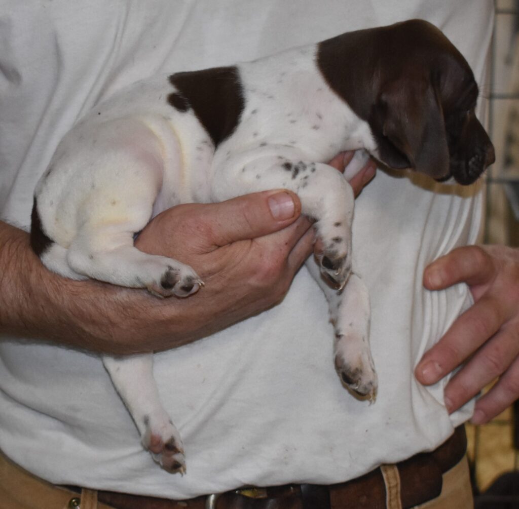 A Man Gently Cradles a Small Puppy in His Arms, Smiling Warmly at the Camera.