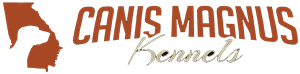 Canis Magnus Kennels